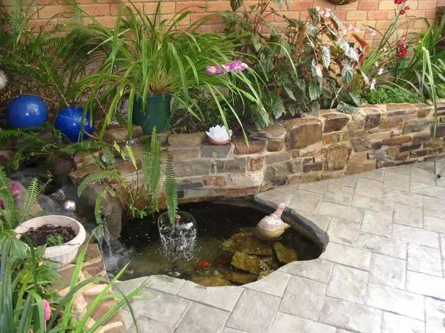 如果院子不大,就在角落里挖一个小小的水池,流水,喷泉,鱼儿样样齐全.