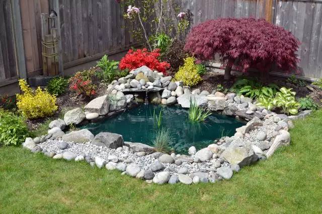 如果你有个院子,一定要有个水池